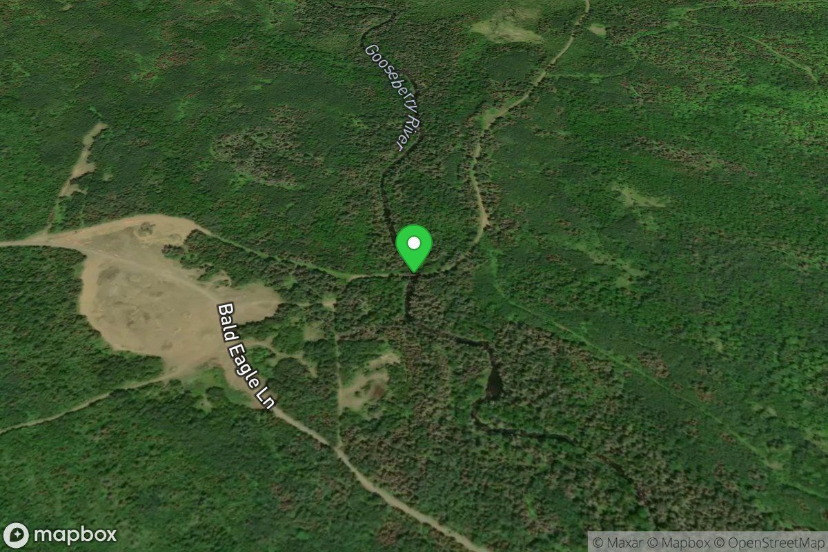 C.J.Ramstad North Shore Trail Bridge