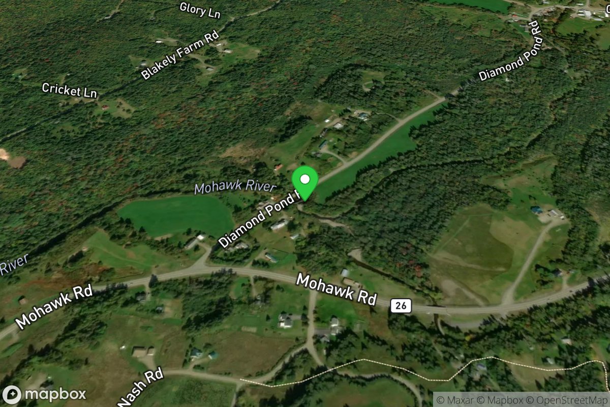 Put In Diamond Pond road dam