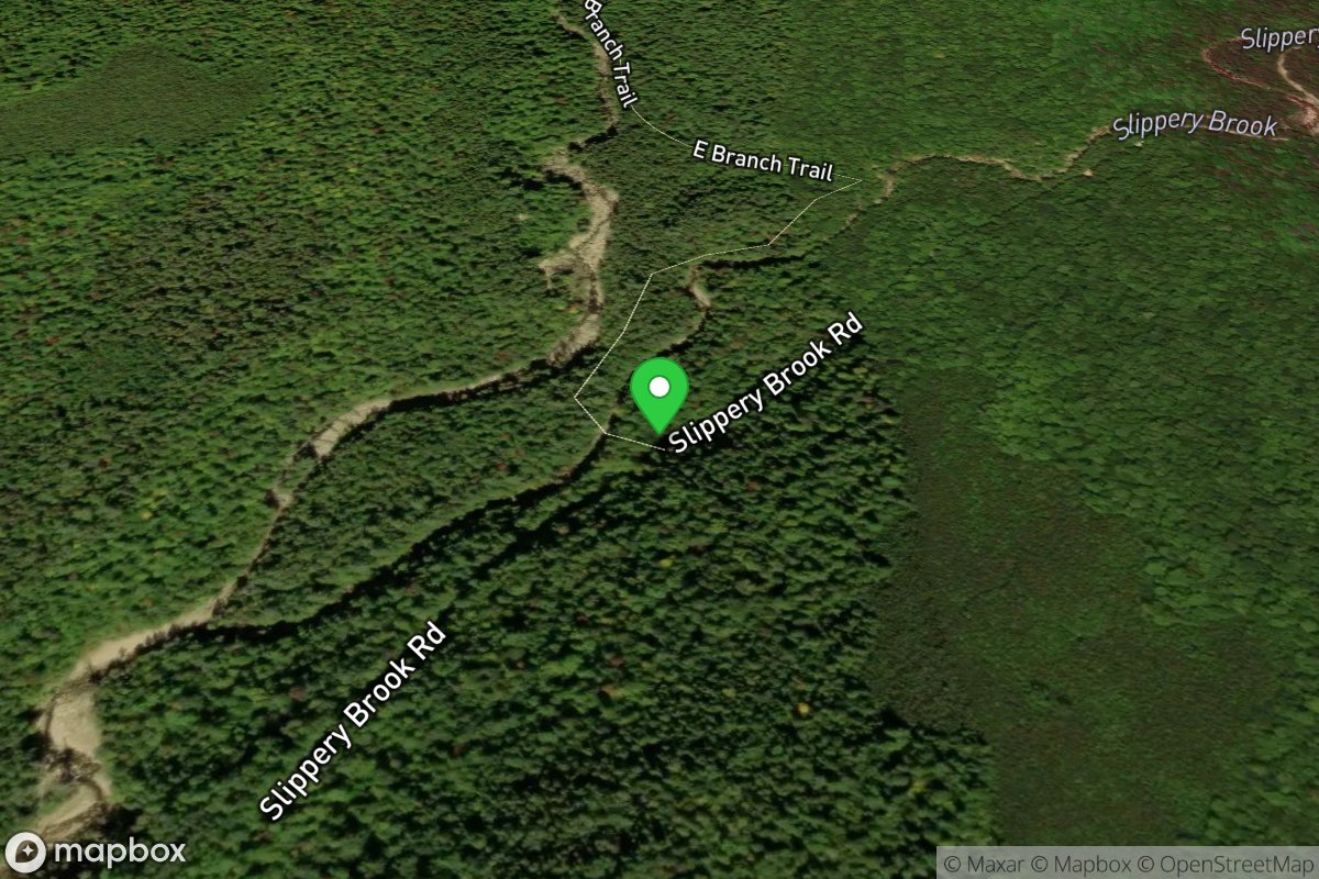 Class IV (Upper) Put In