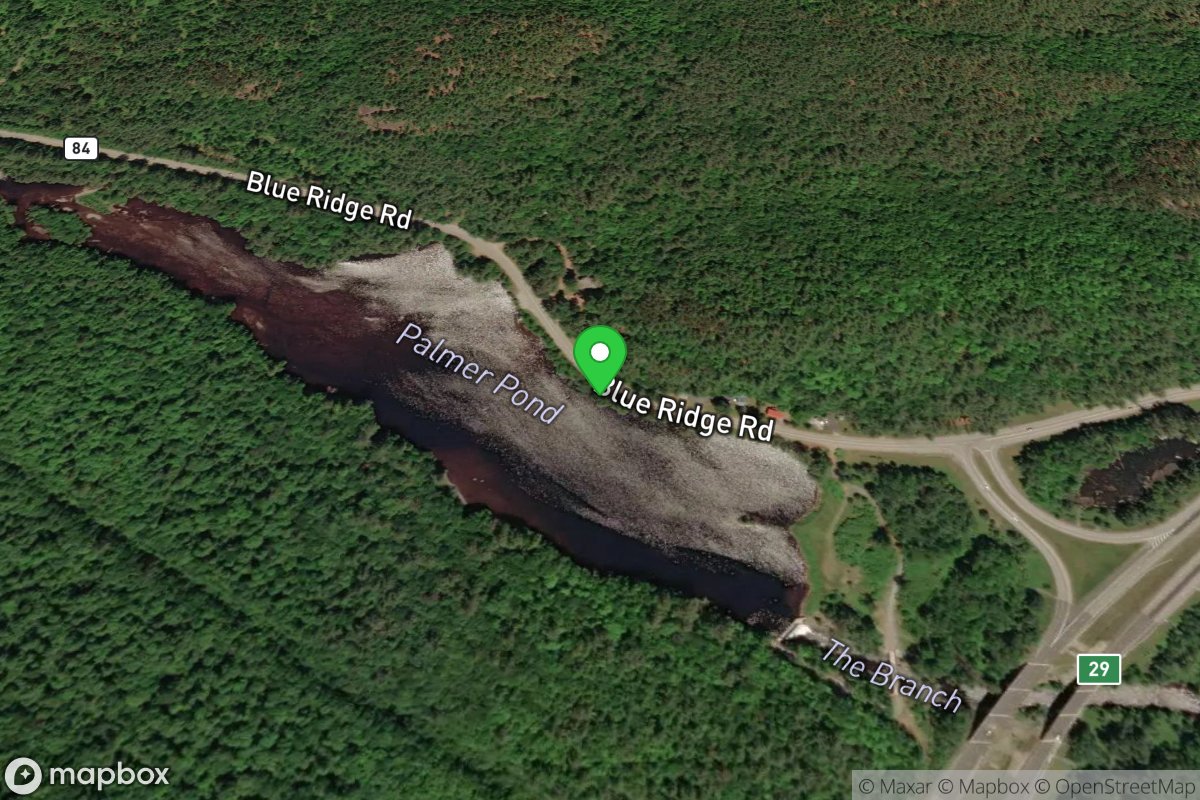 Palmer Pond Take Out