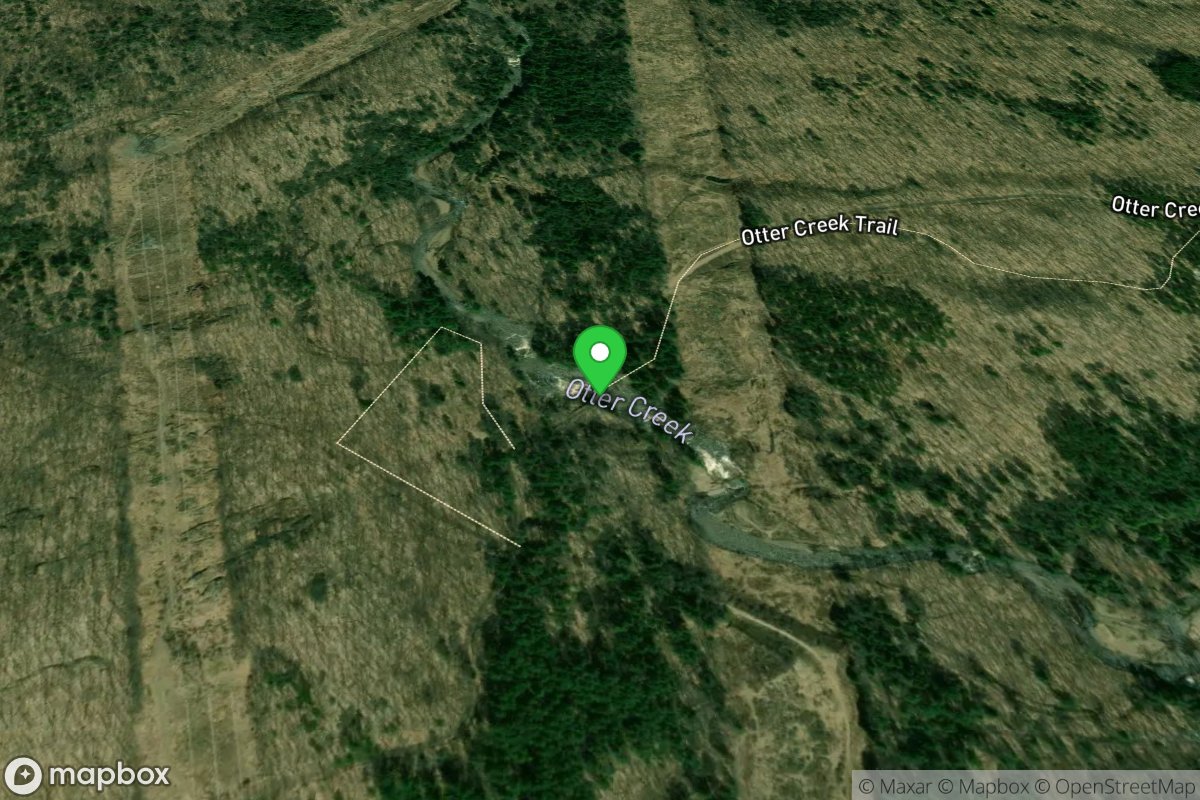 Eatonville Rd. Putin