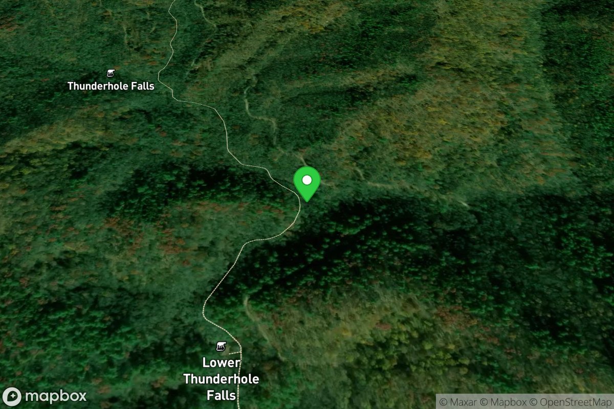 Put In at New Years Creek Bridge