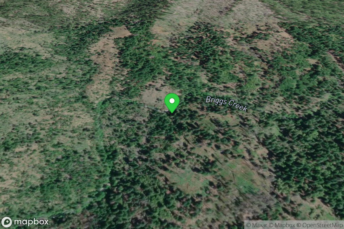 Trail 1132/1153 Intersection Put In