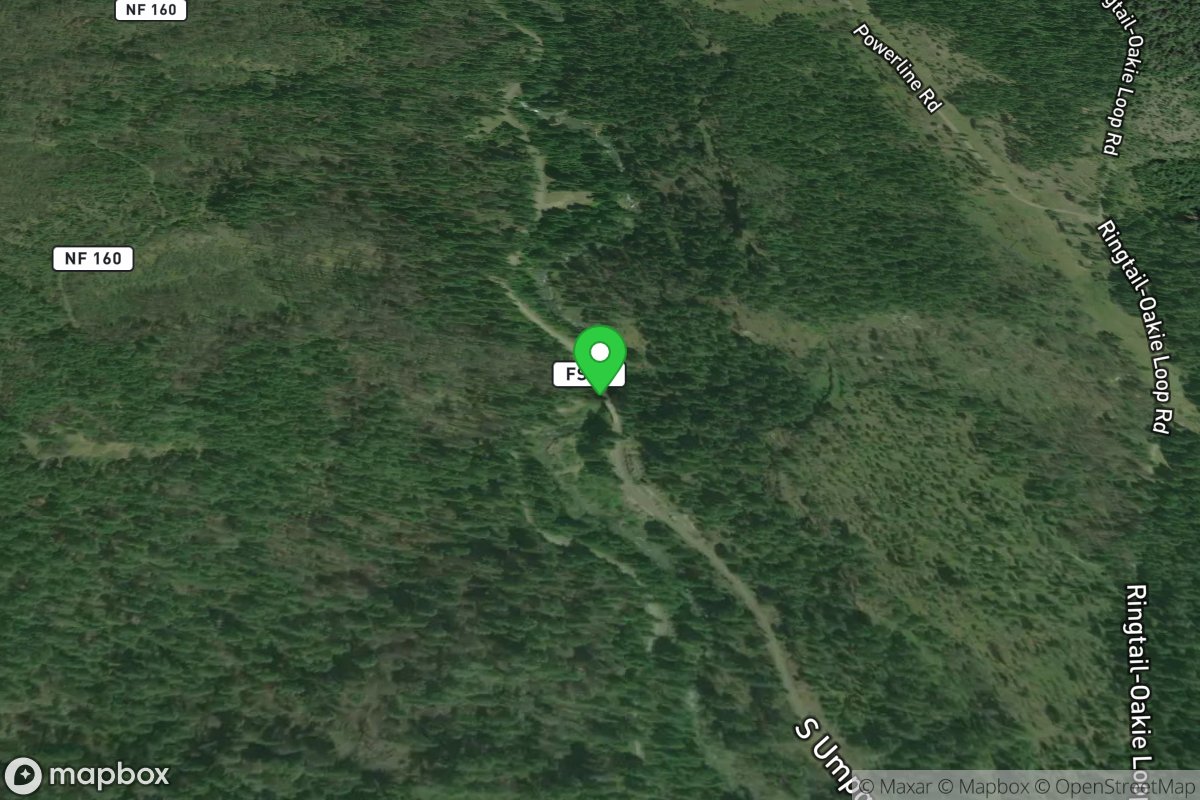 Forest Road 28 Bridge, Intermediate Access Point