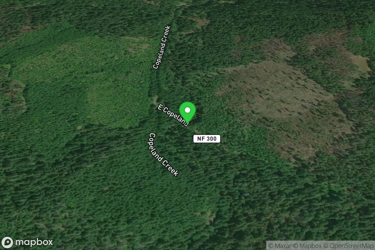 Forest Road 300 Spur Bridge, "Camp Wobegone" Put-In