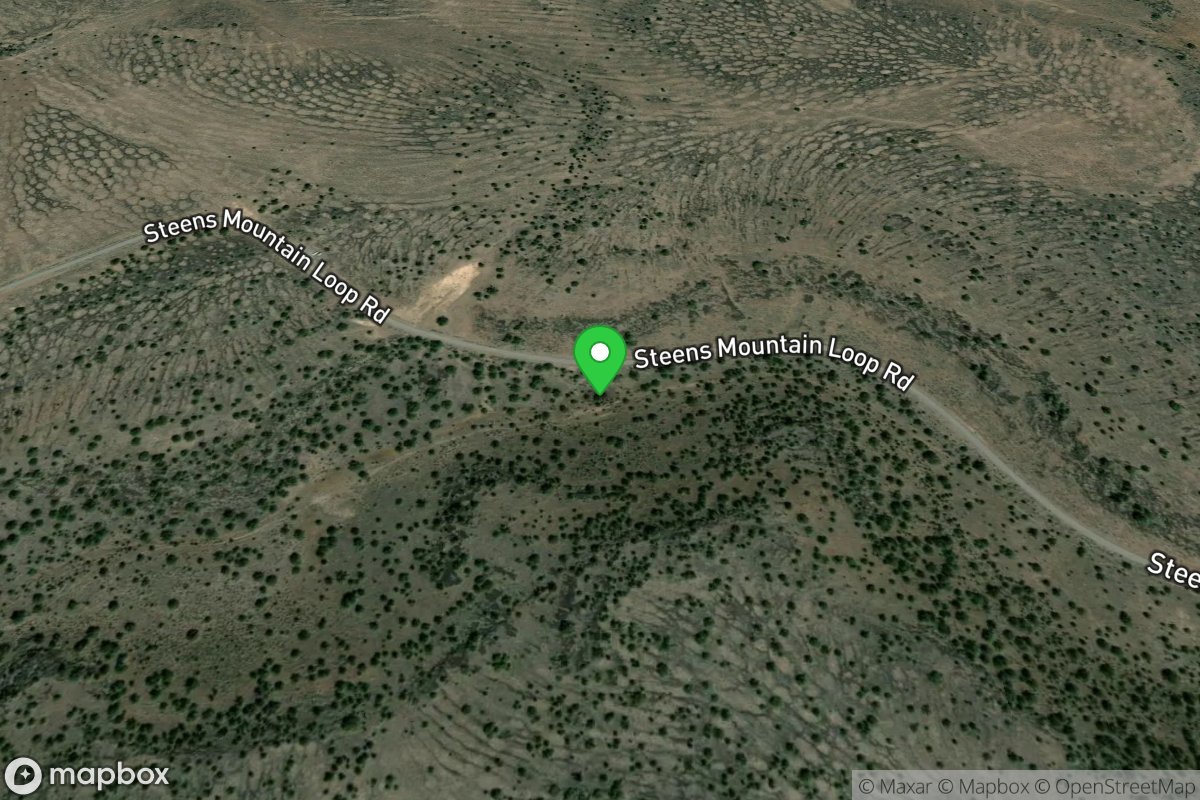 Steens Mountain Loop Gate