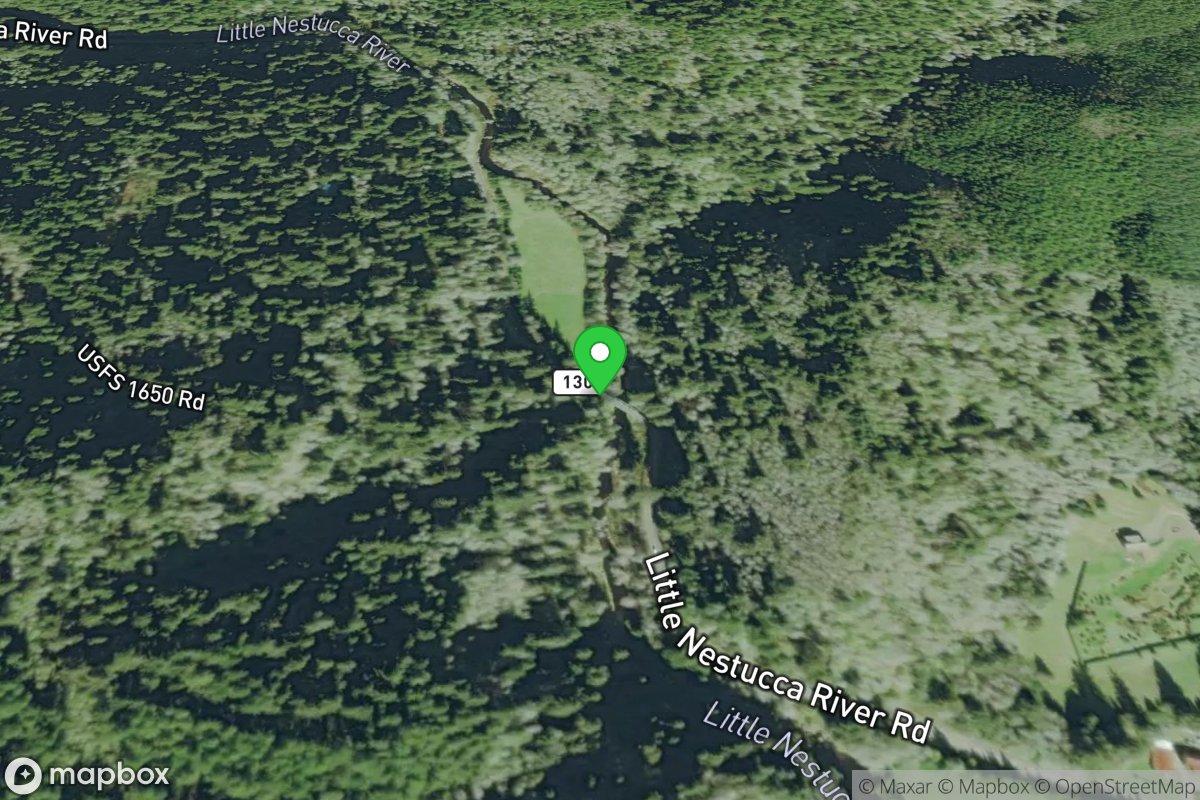 Little Nestucca River Road Bridge Put-In