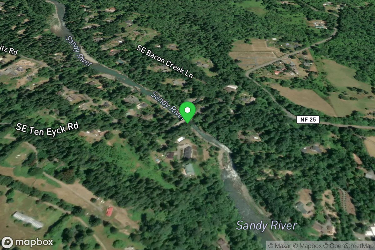 Revenue Bridge Take Out