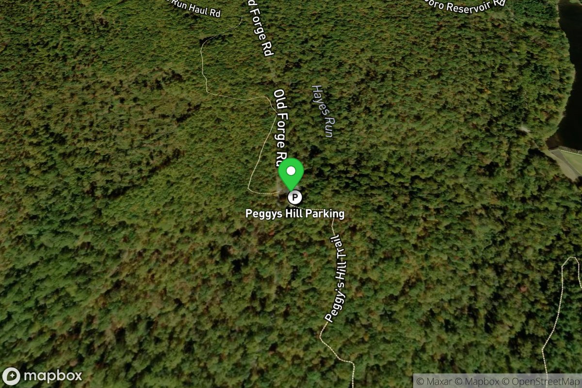 Put In - at the parking lot at Old Forge Road