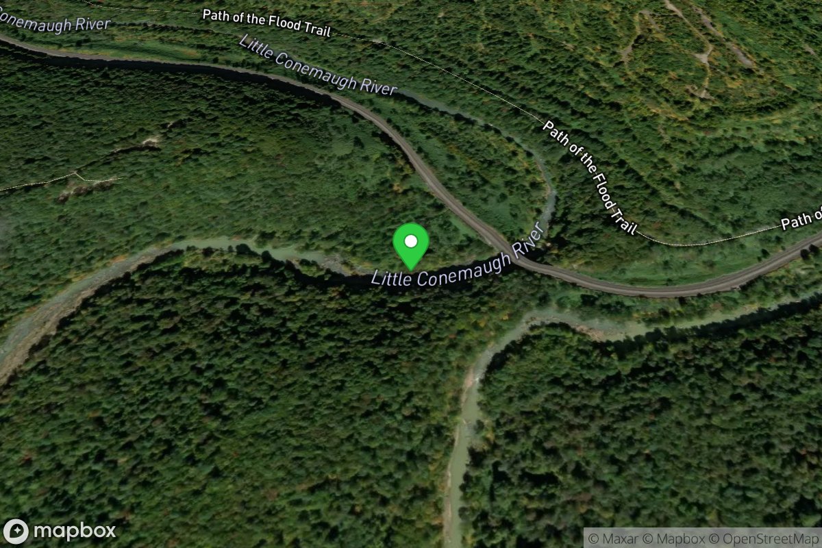 Conemaugh Viaduct Rapids (Loop Takeout)