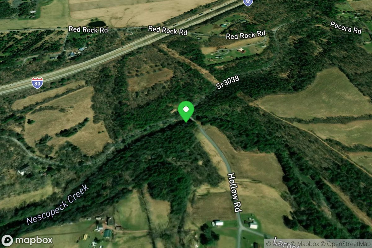 Take Out - Hollow Rd.