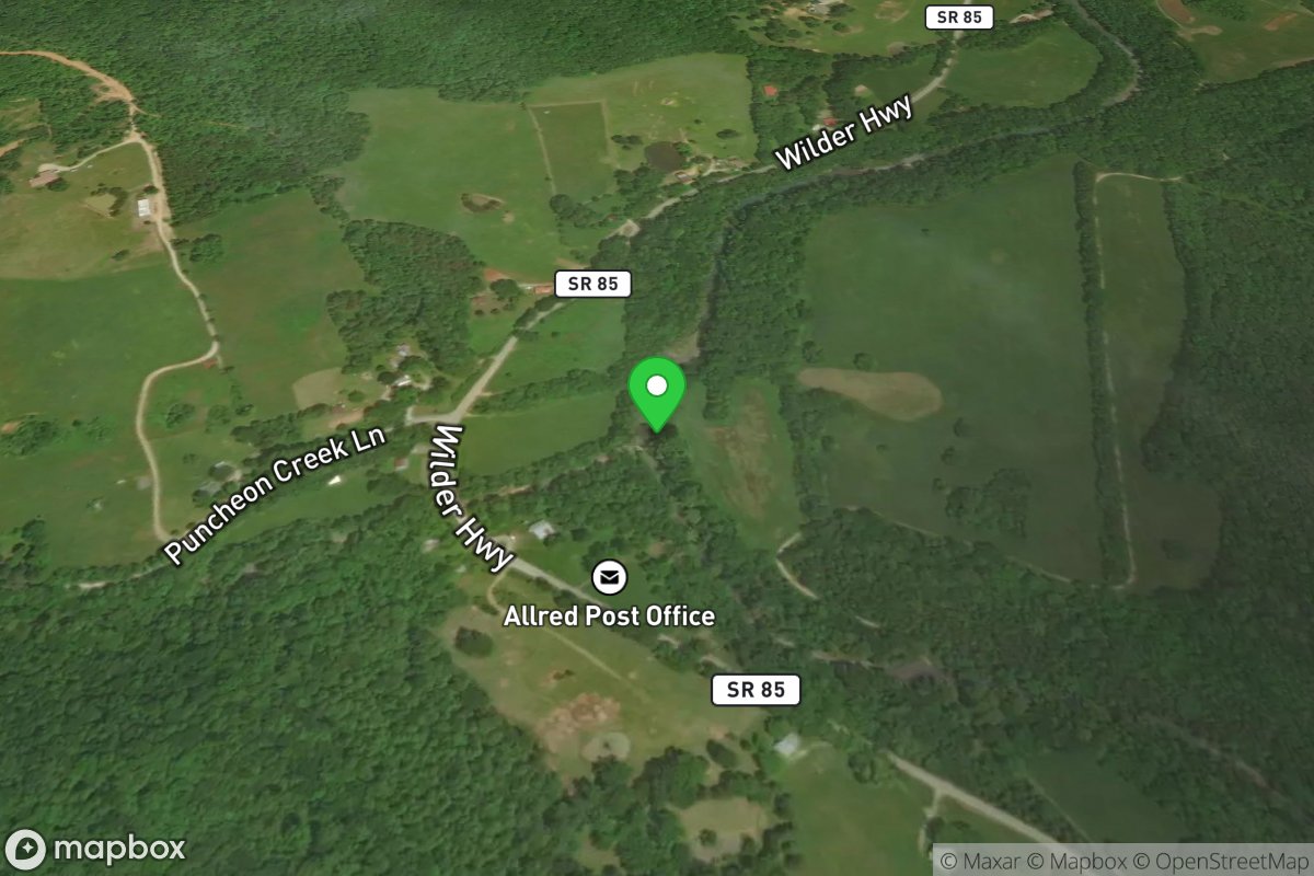 Put-In (Puncheon Camp Creek)