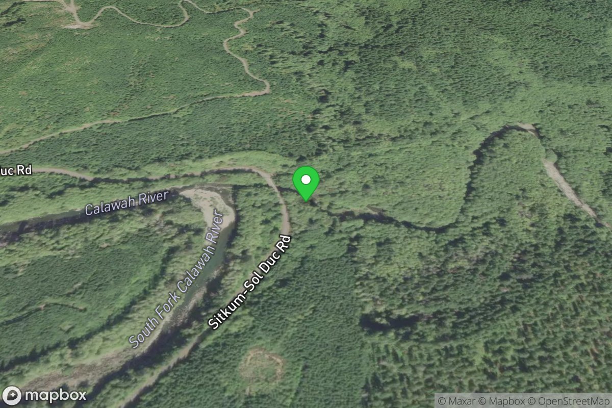 Calawah River Confluence Take-Out