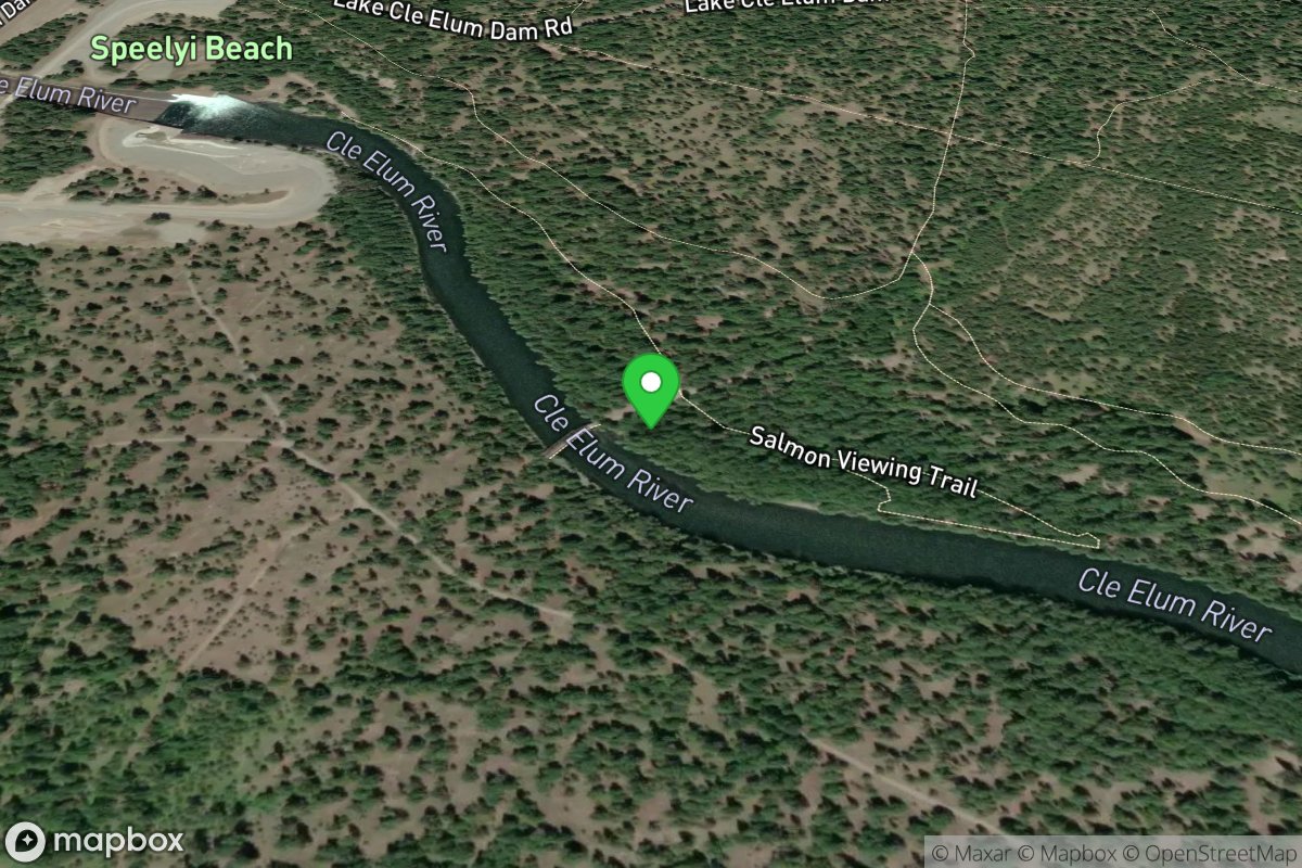 Forest Road 4303 Bridge Put-In