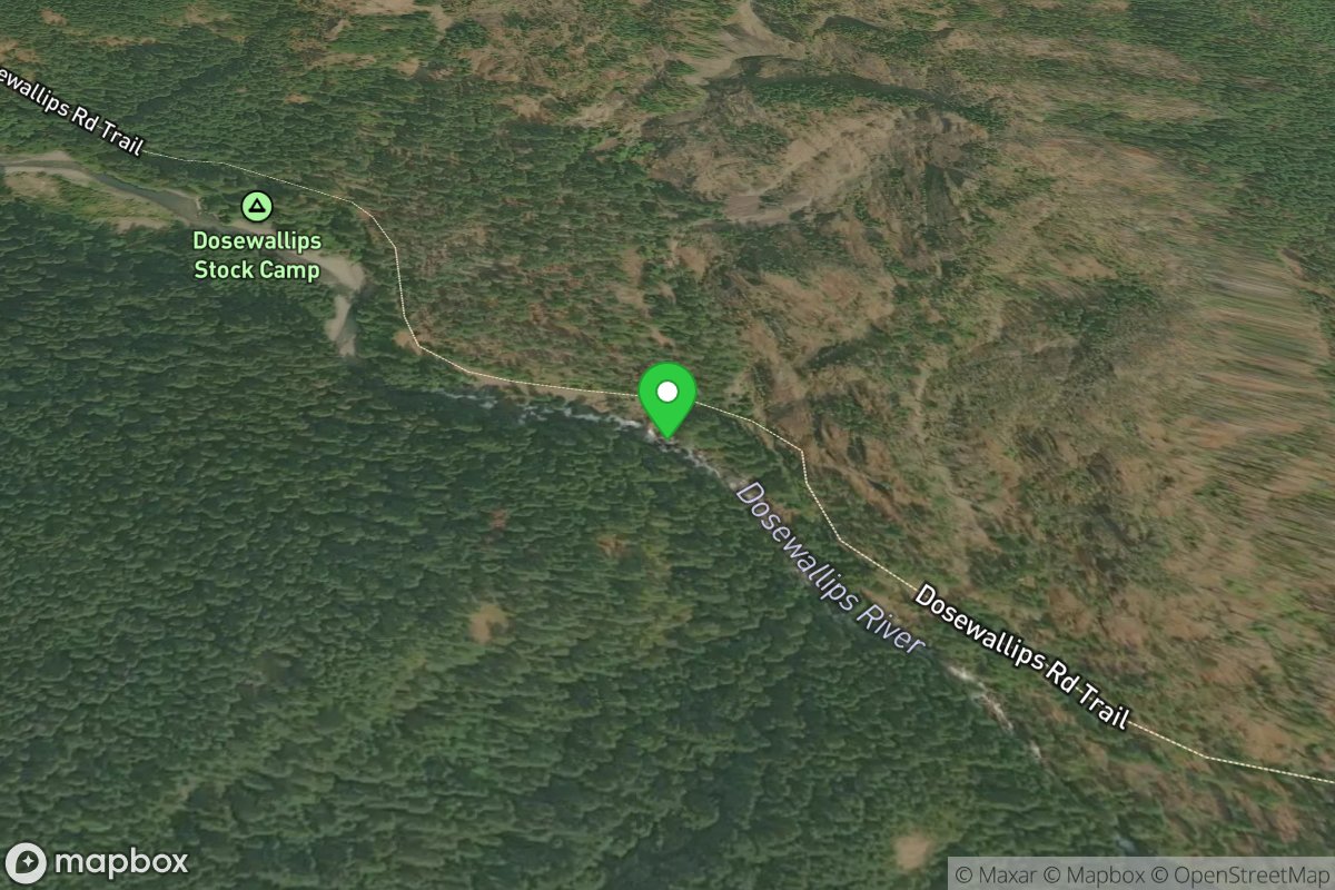 Dosewallips Falls Put-In