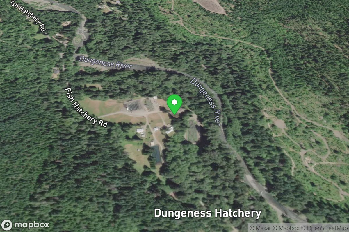 Dungeness Fish Hatchery Take-Out