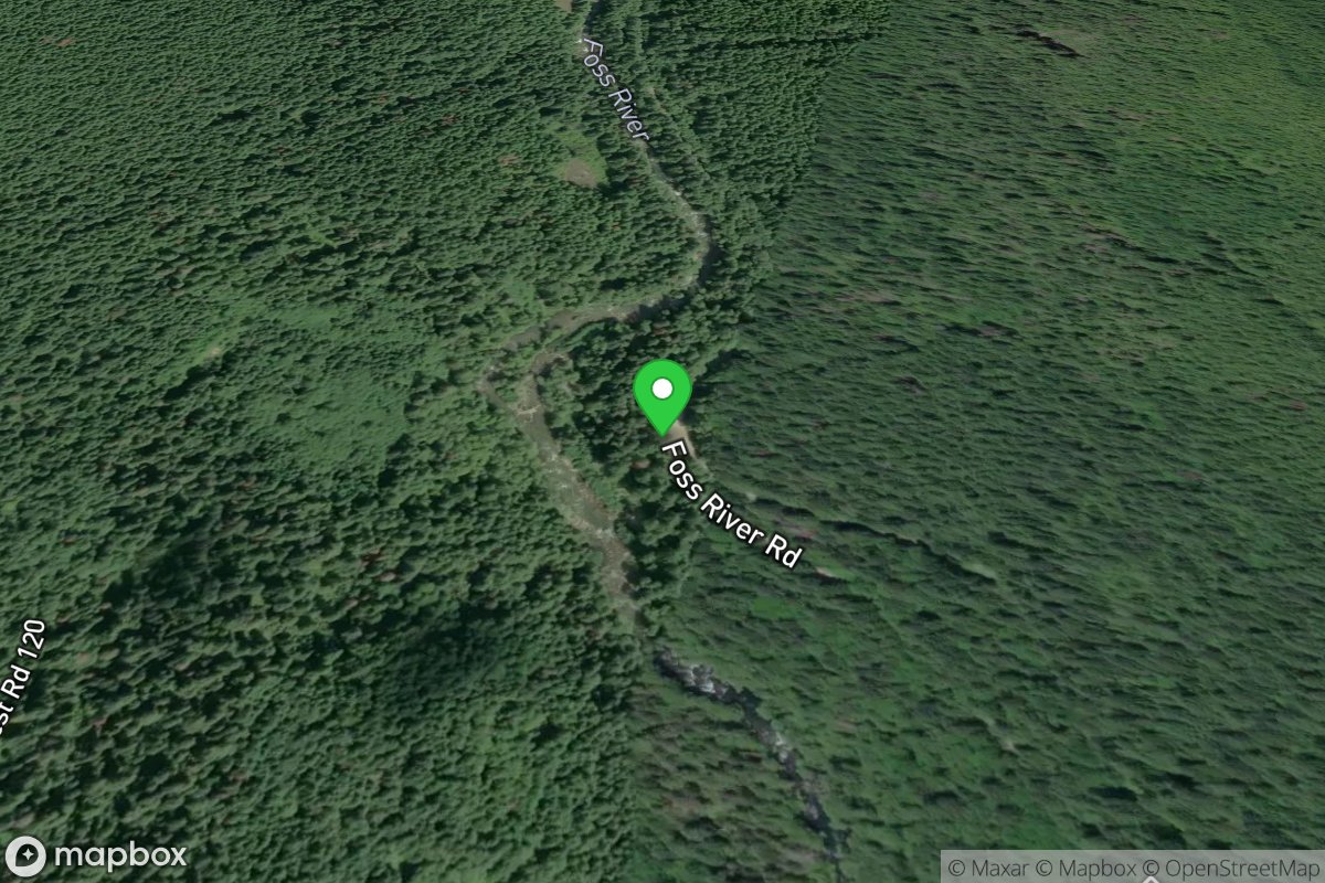 Forest Road 6830 Junction Put-in