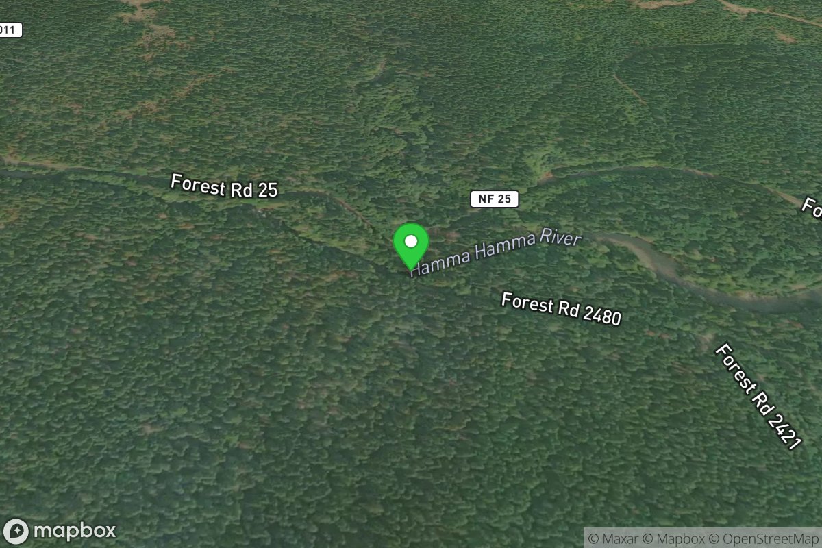 Forest Road 2480 Bridge Access