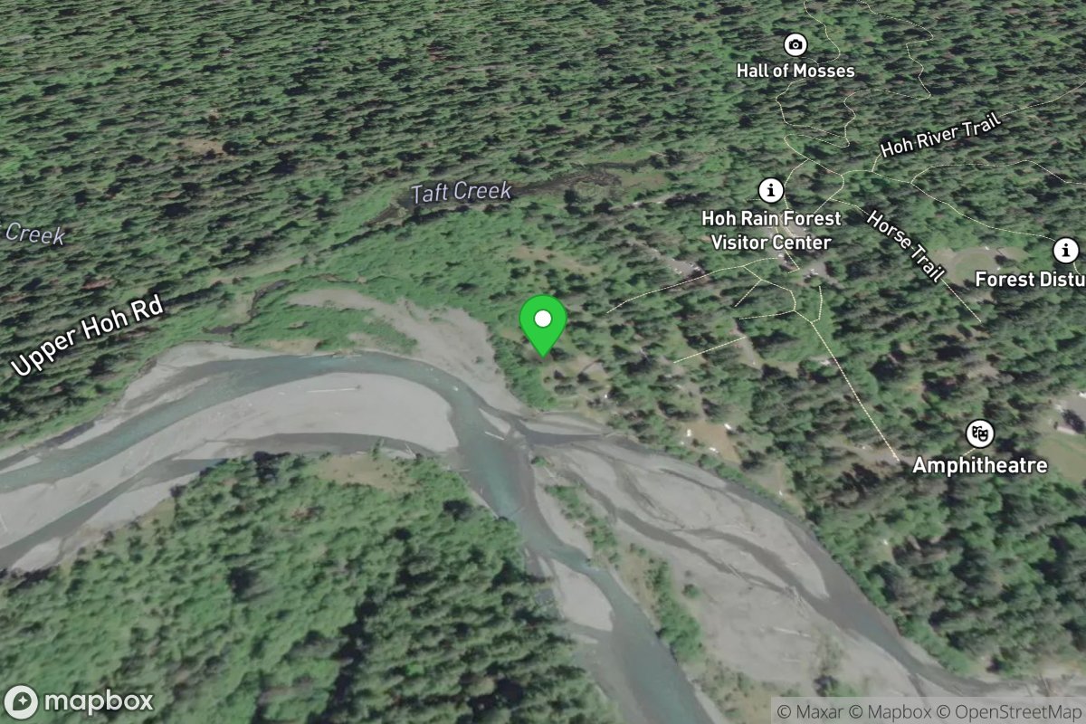 Hoh Rainforest Campground Take-Out