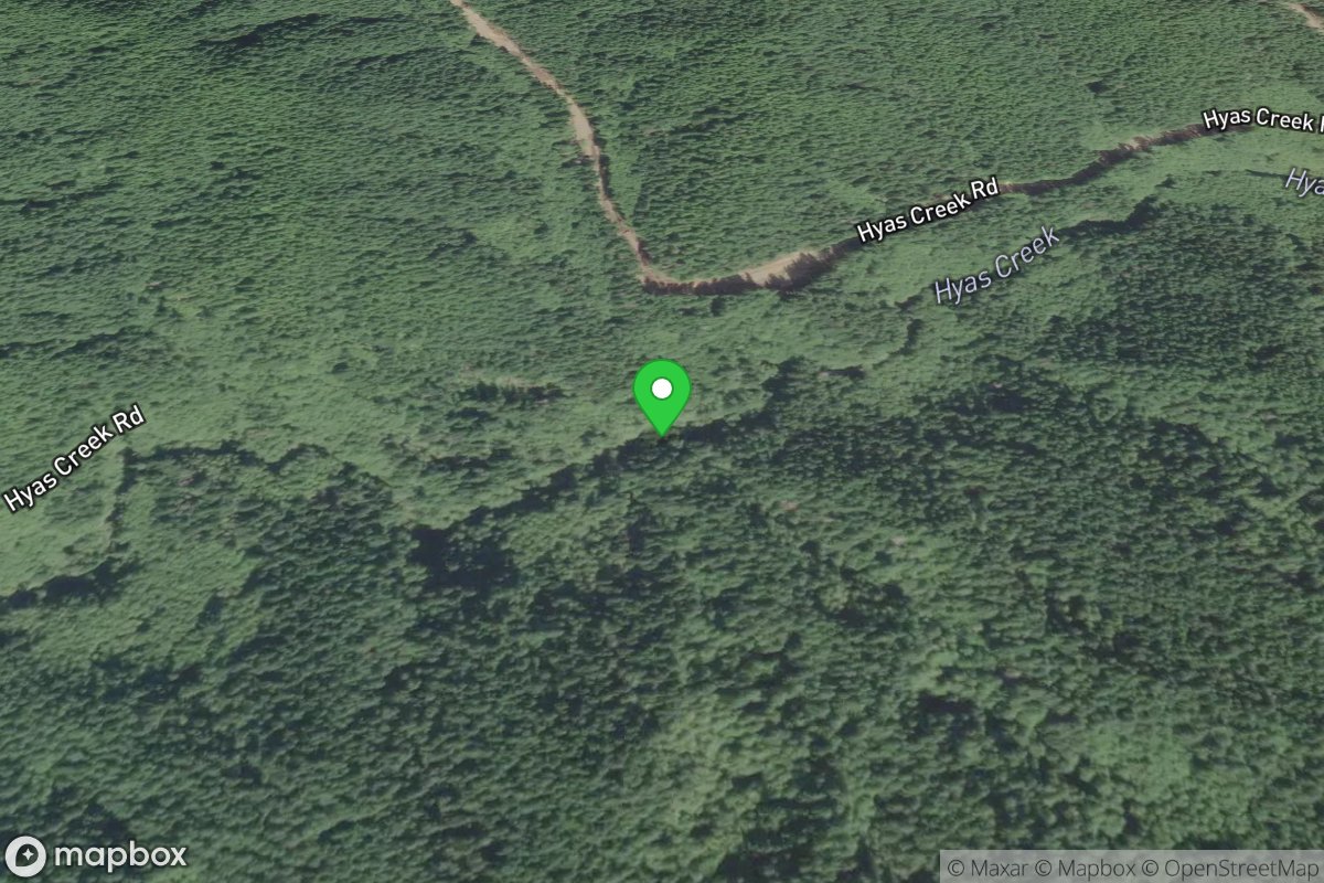 Forest Road 2900-030 Put-In