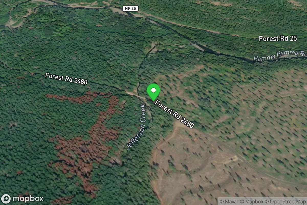 Forest Road 2480 Bridge Take-Out