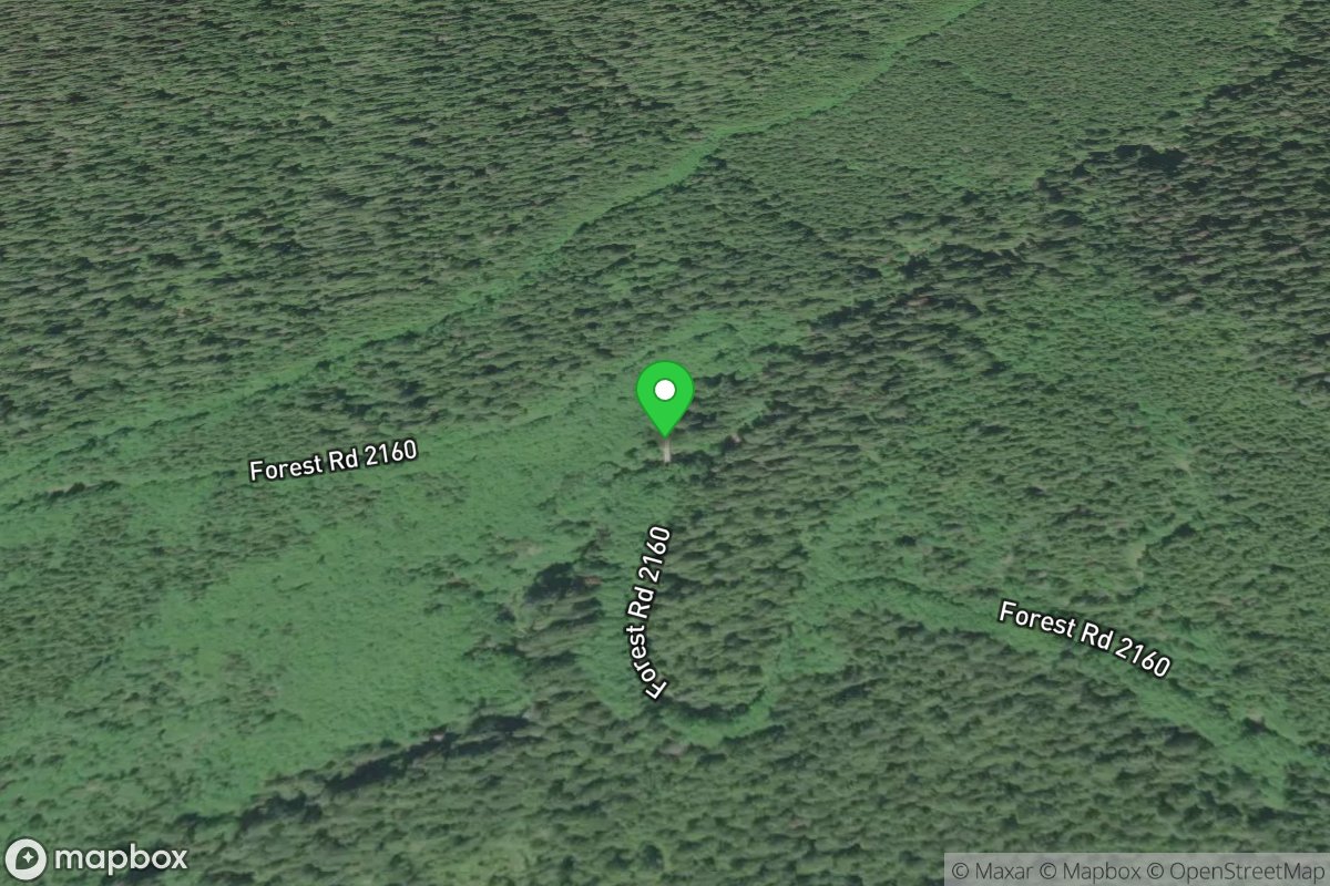  2160-100 Bridge Across North Fork Put-In