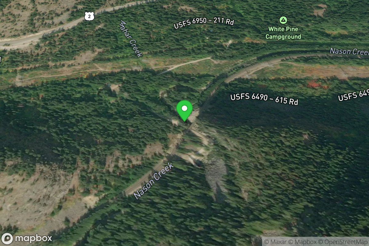 White Pine Bridge Take-Out