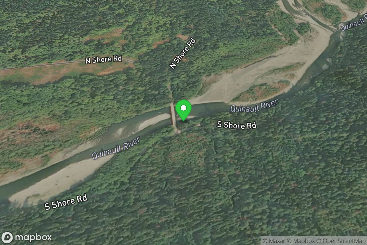 Quinault Bridge - Canning Creek