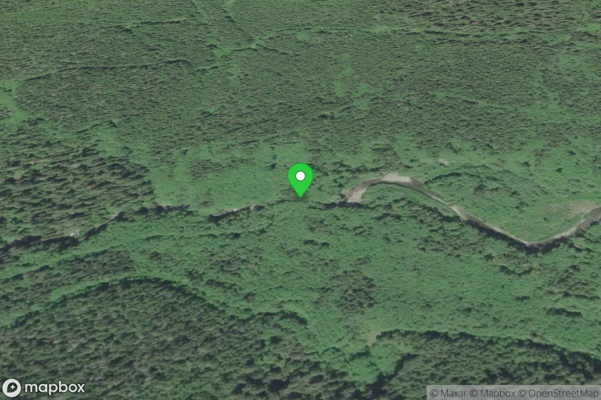 2180-500 Bridge Access