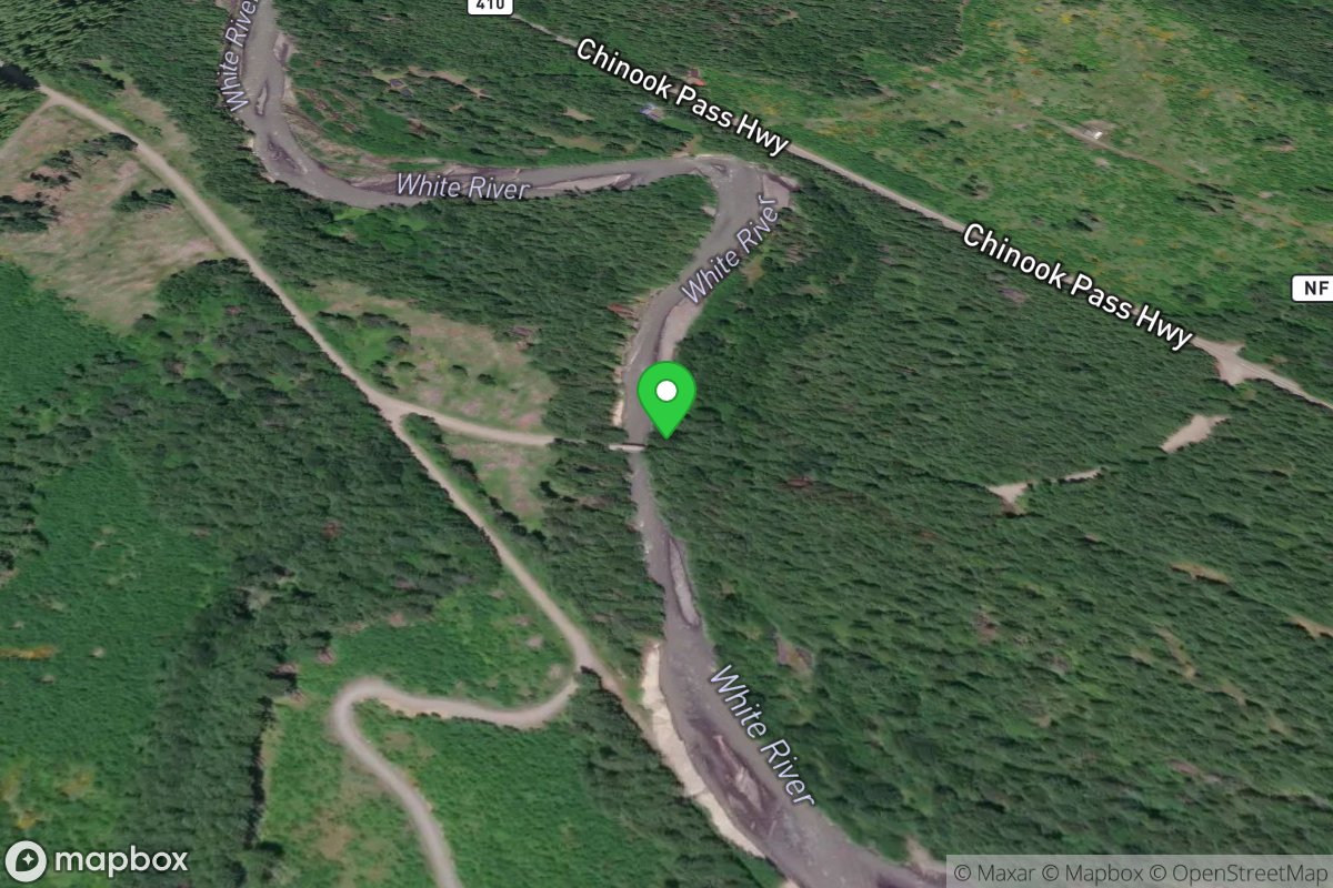 Alternate Bridge Access