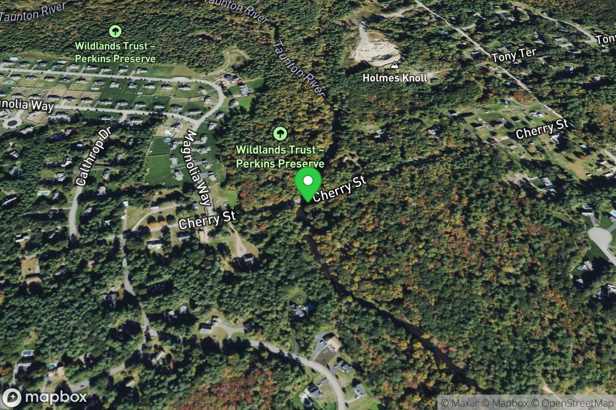 Cherry Street Bridge