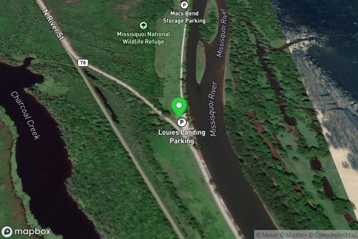 Louie's Landing Boat Launch