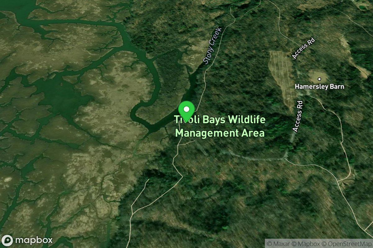 Tivoli North Bay WMA