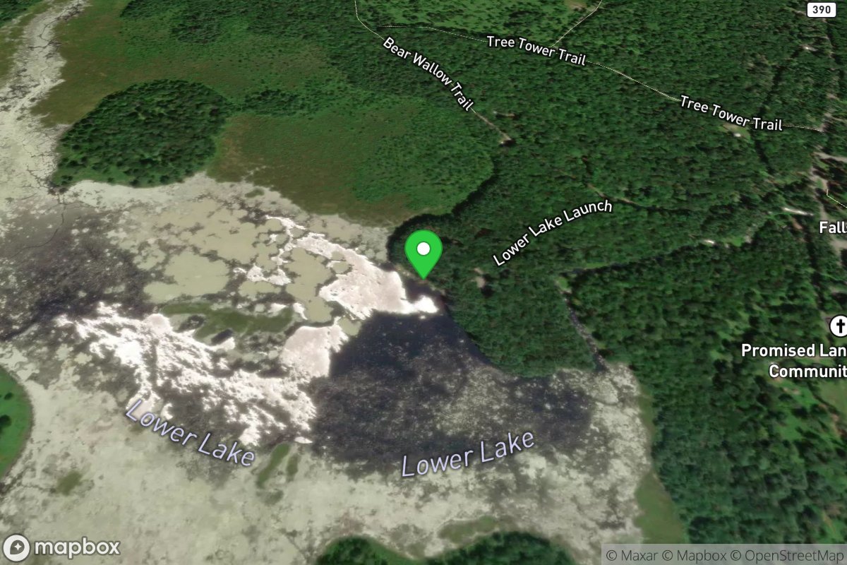 Bear Wallow Road - Observation Station