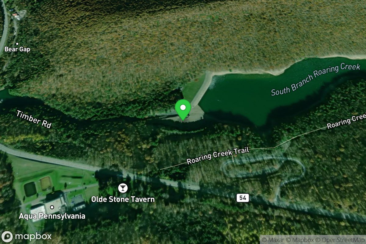 Shamokin Reservoir (Bear Gap)