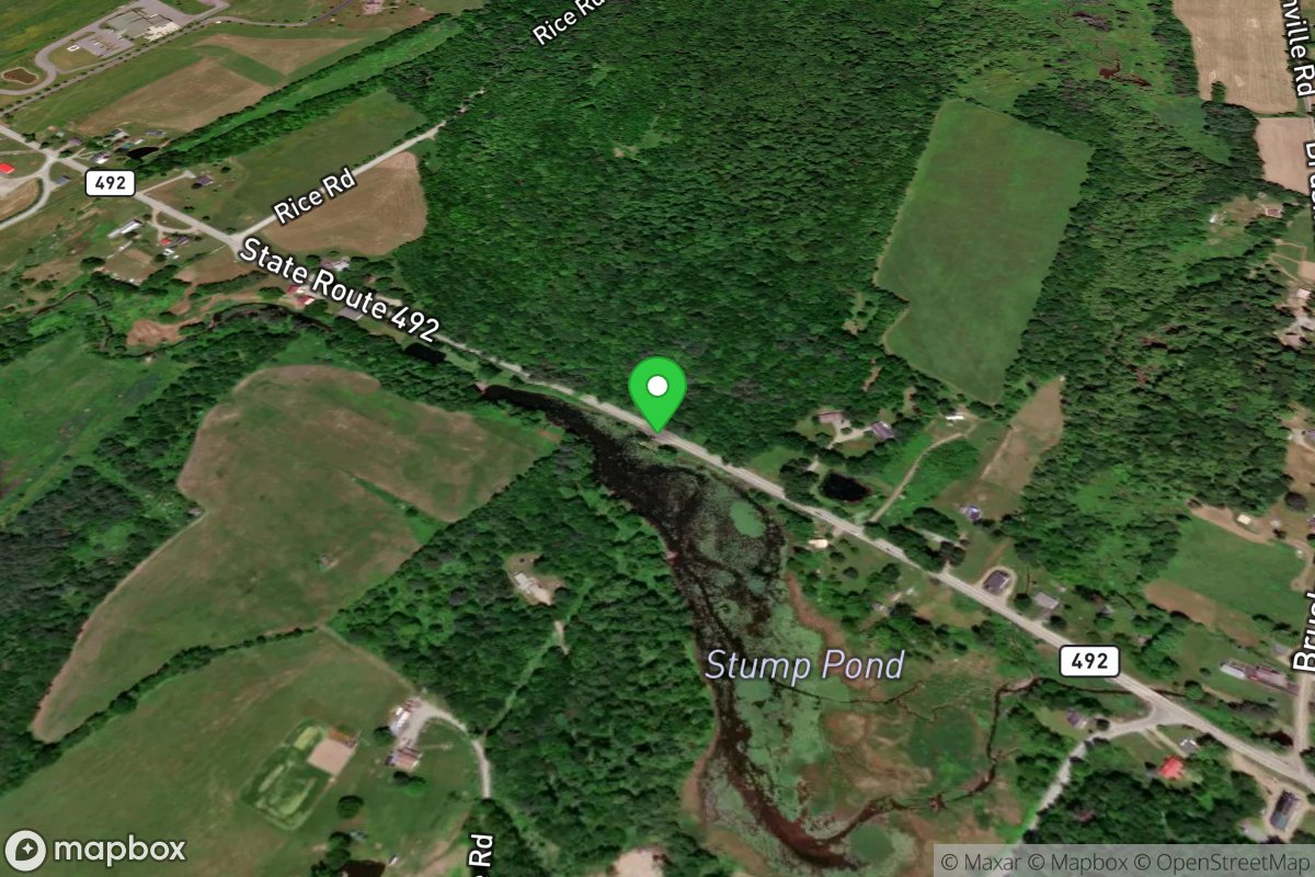 Stump Pond