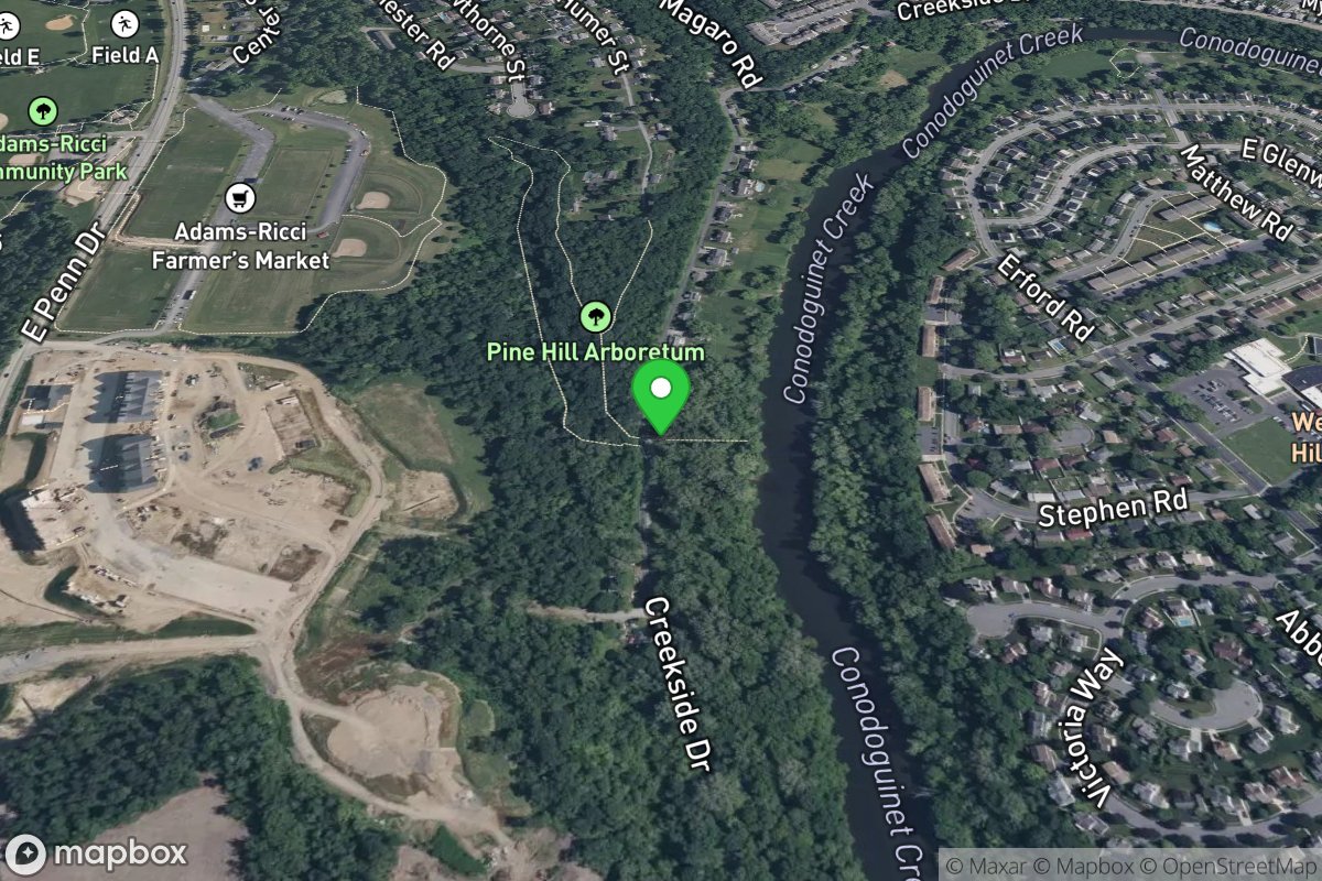 Pine Hill Arboretum