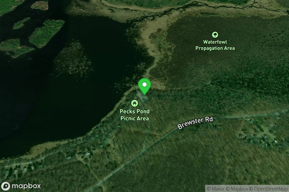 Pecks Pond Picnic Area