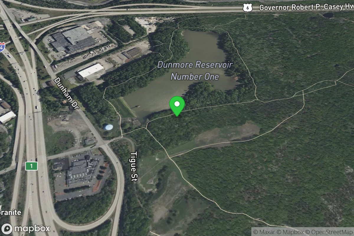 Dunmore Reservoir #1