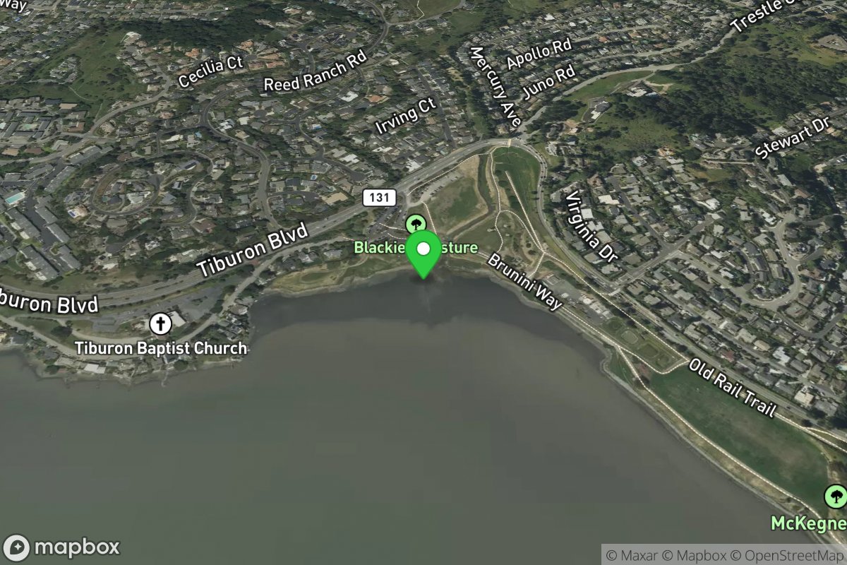 Richardson Bay Park/Blackies Pasture