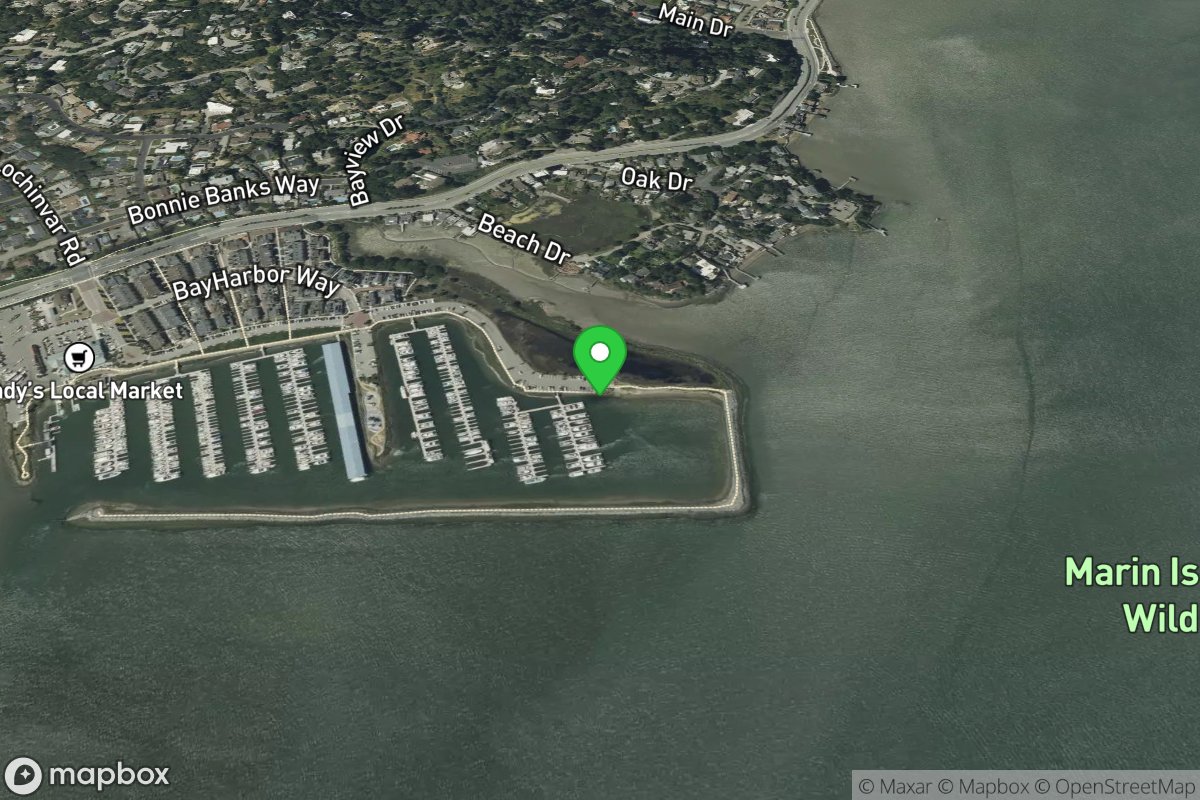 Loch Lomond Marina: Beach