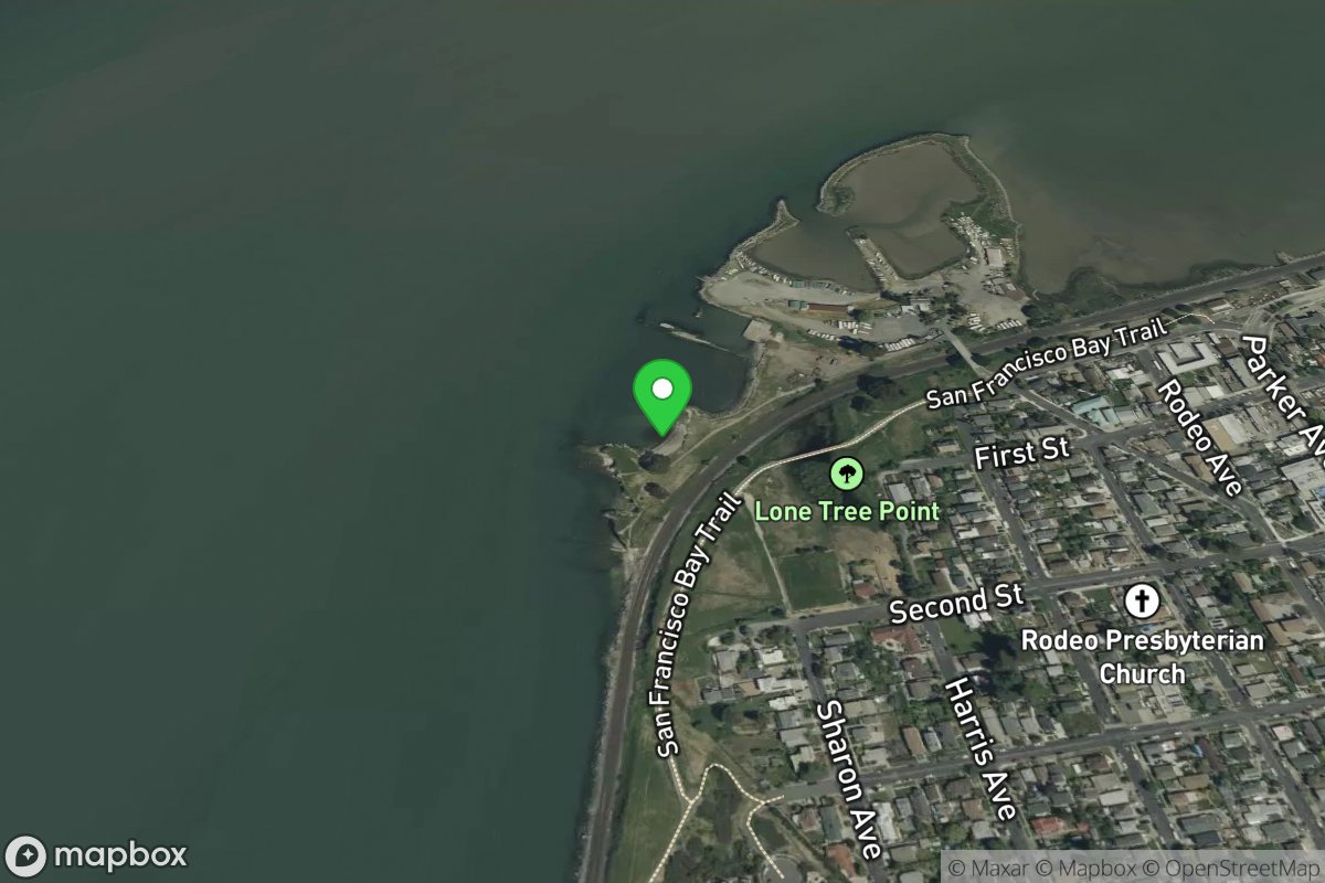 Lone Tree/Rodeo Beach