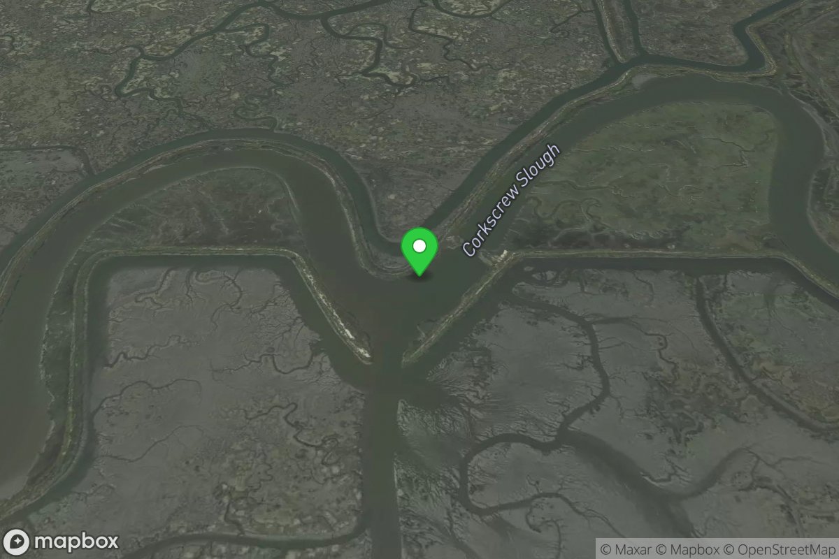 Corkscrew Slough Viewing Platform