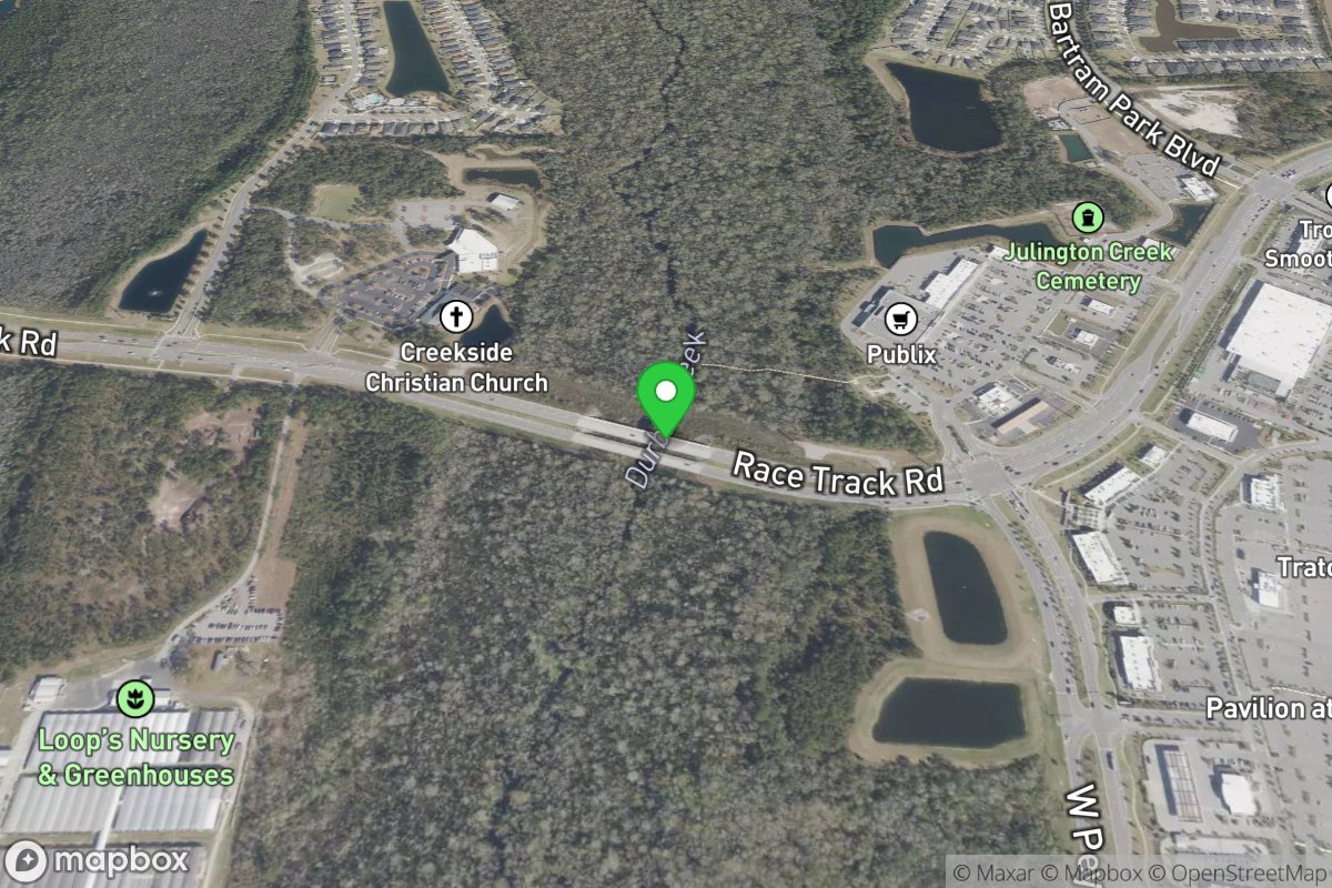 Bartram Canoe Trail - Durbin Creek Put In