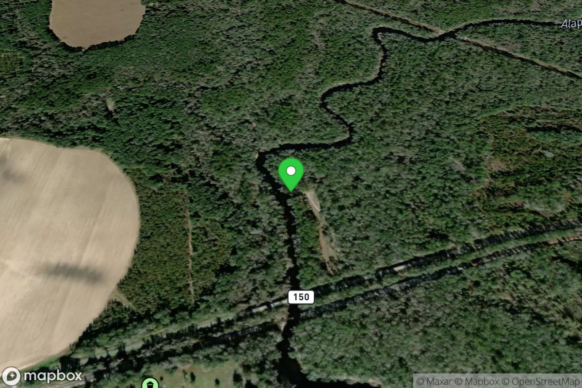 Alapaha River Boat Ramp (Alapahoochee Launch)