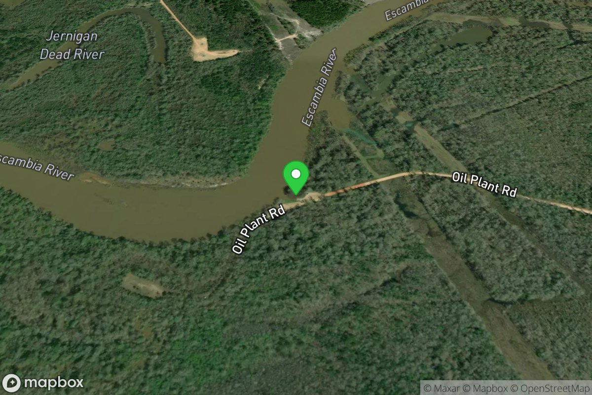 Mcdavid Park Public Boat Ramp (Terrell Landing)