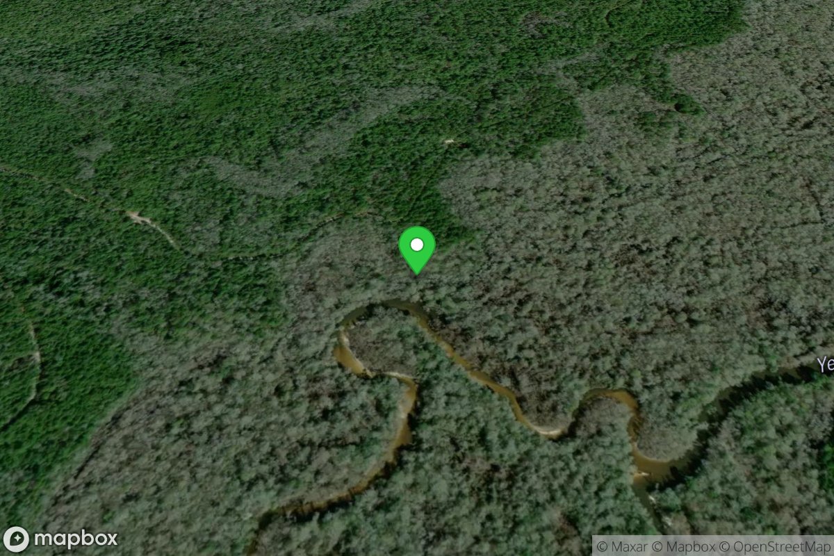 Reedy Landing Gravel Boat Ramp (Small Boats)