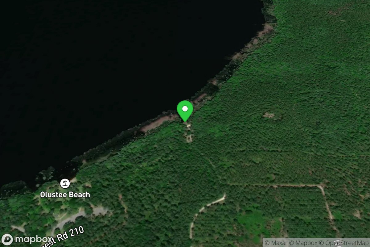 Ocean Pond - The Landings Camp Area Canoe Launch