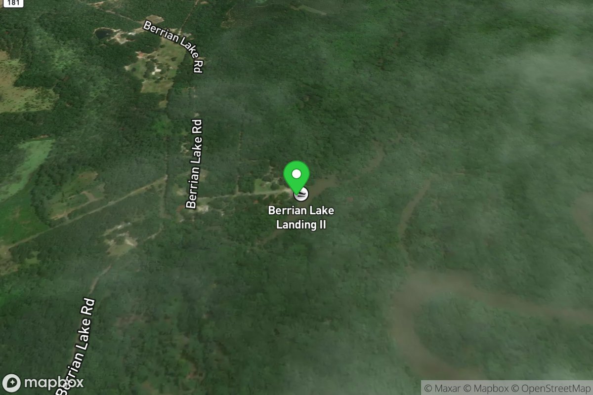 Berrian Lake Landing Public Boat Ramp