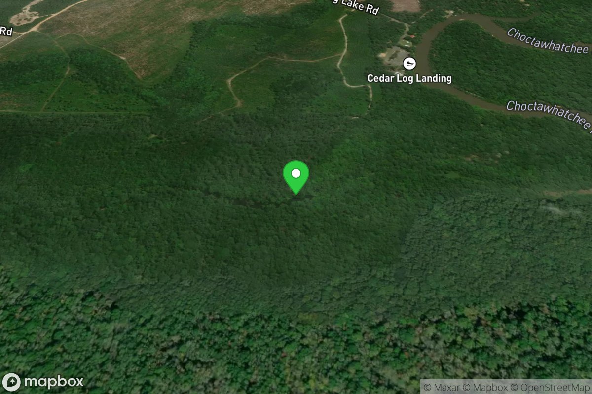 Cow Lake Landing Public Boat Ramp